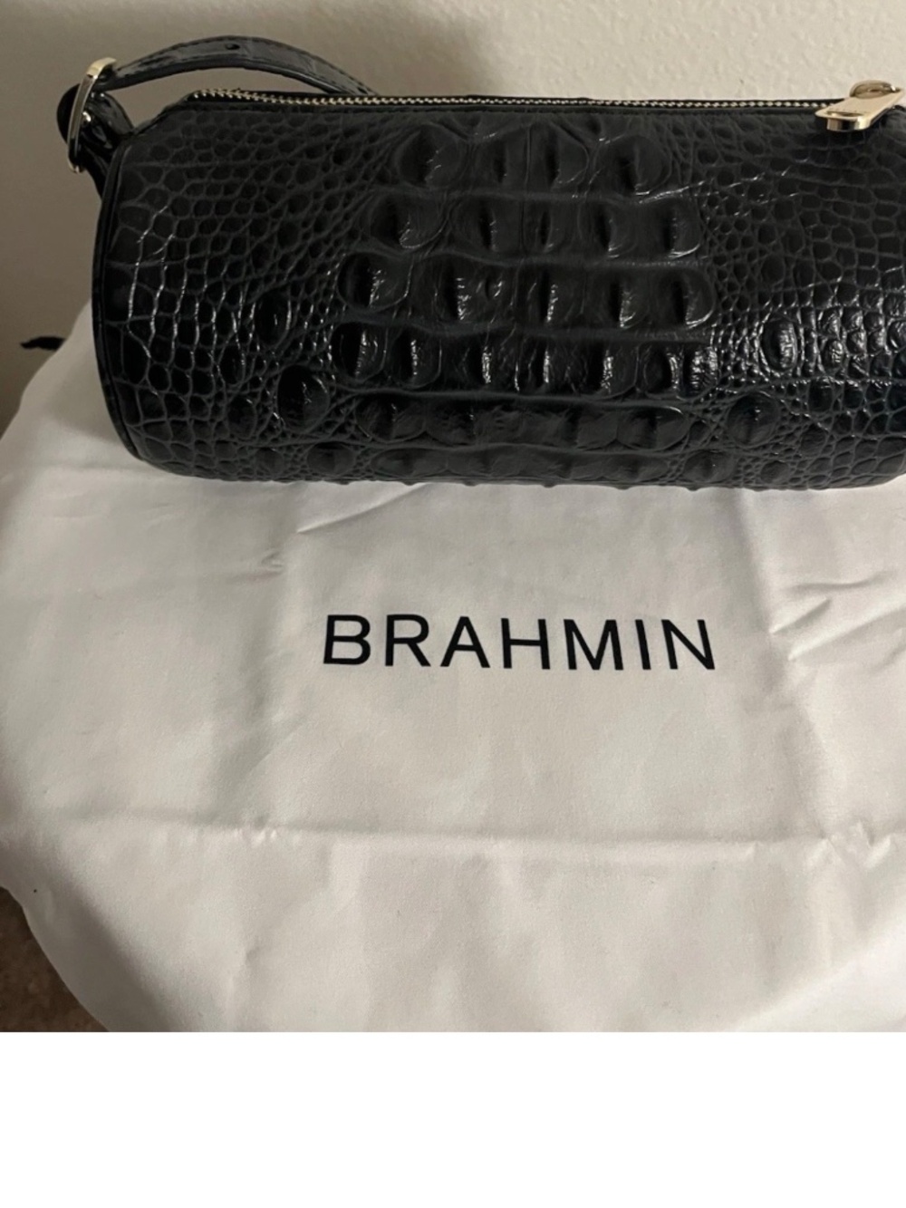 Brahmin - Picture 4 of 7